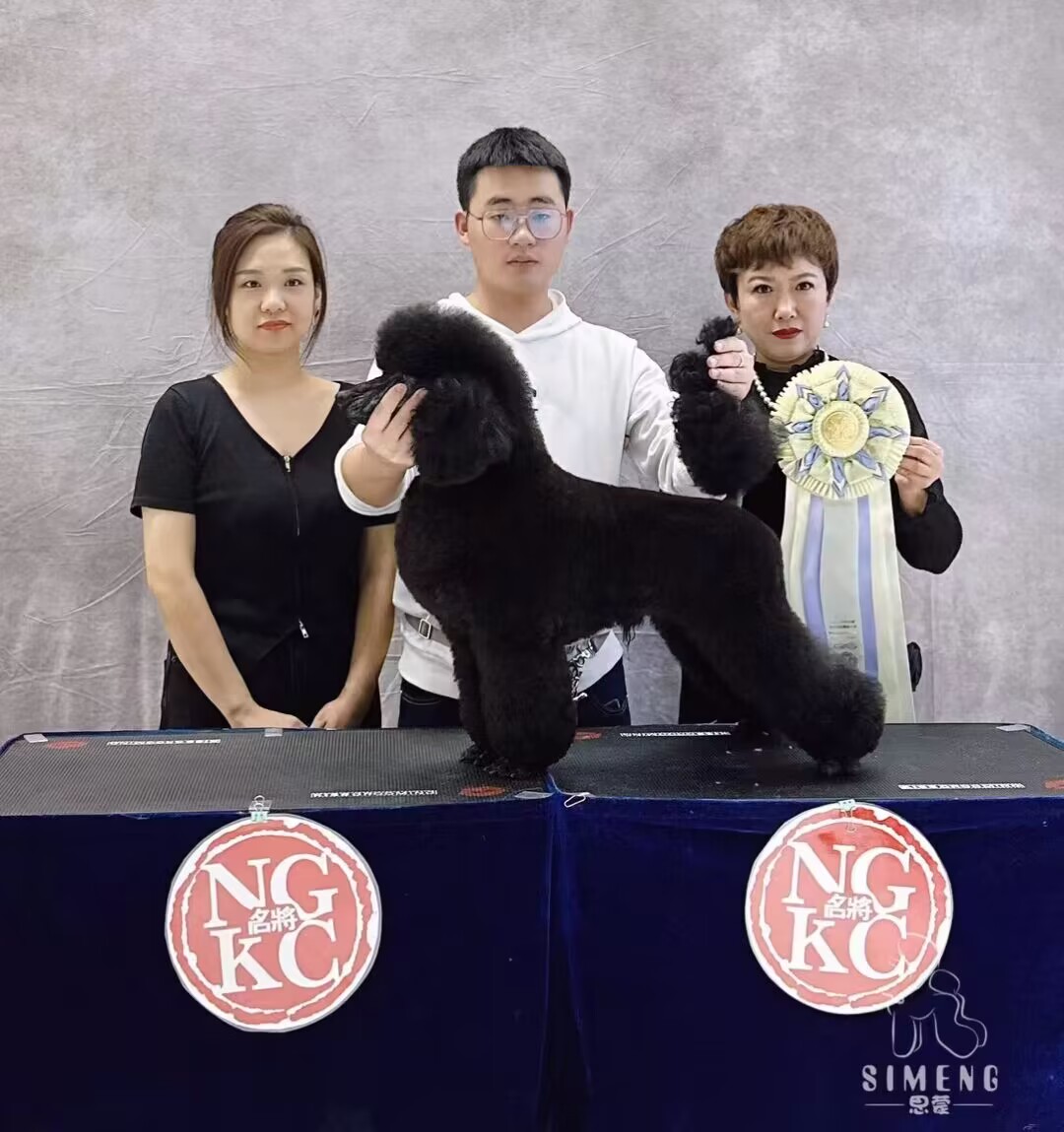 我們的榮譽(yù)