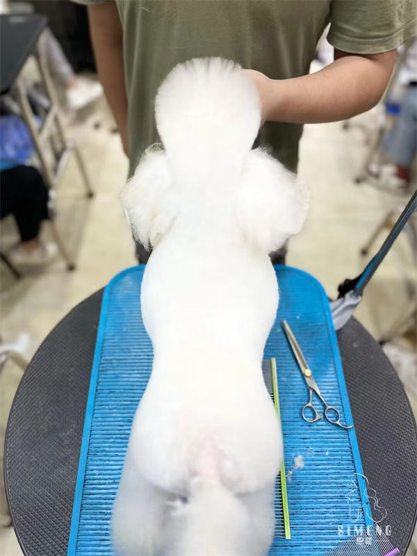優秀作品