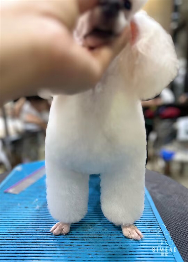 優秀作品