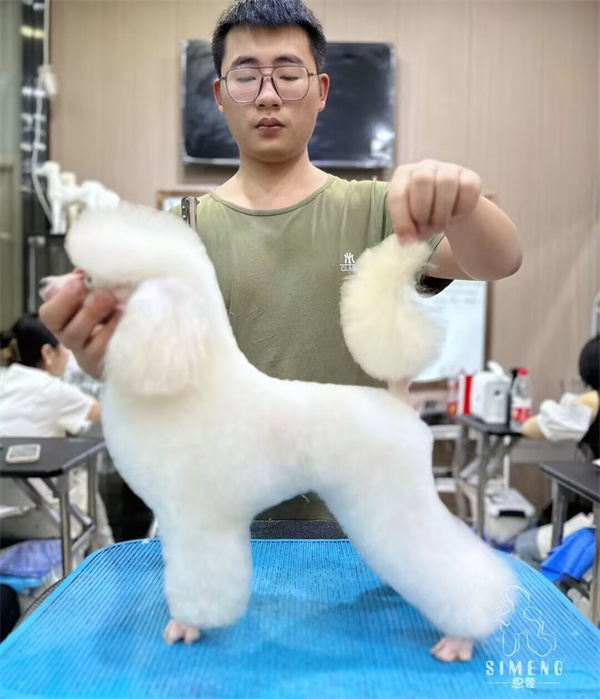 優秀作品