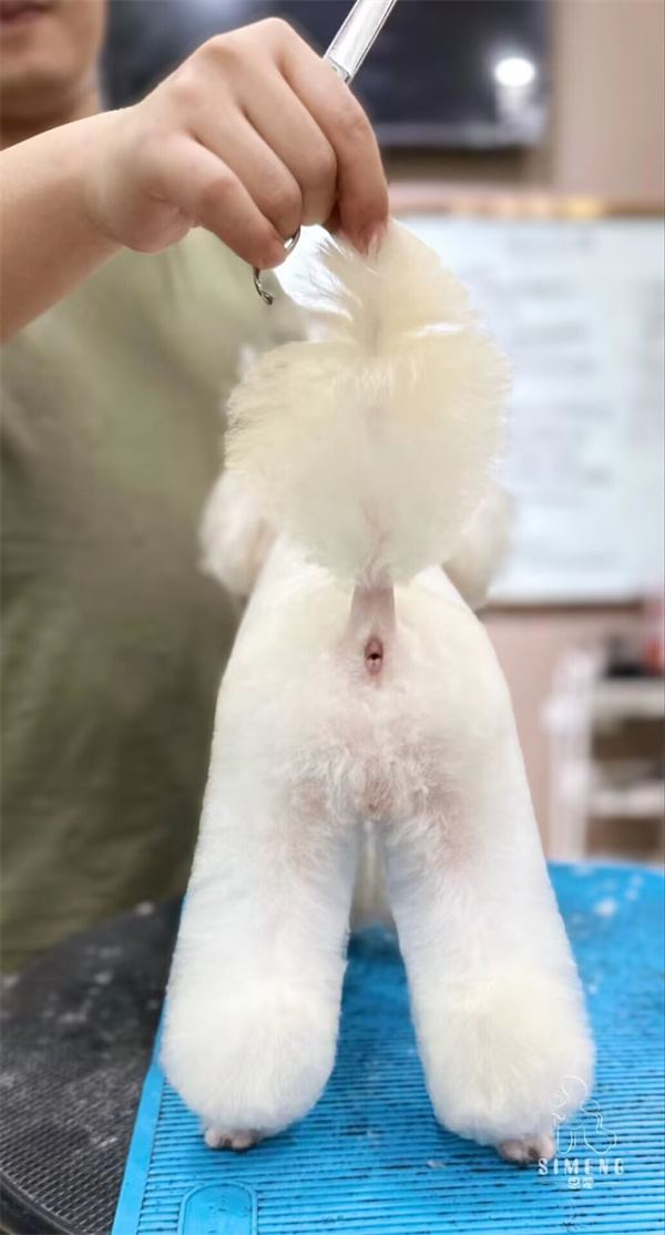 優秀作品